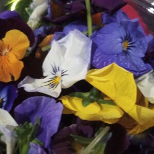 Flores comestibles x Cubetita