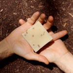 Jabón Artesanal Biodegradable Vegano - ANCESTRAL