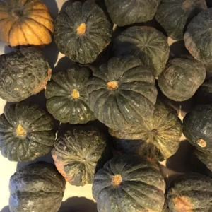 Zapallo Cabutia Agroecológico de Orlando x1.7kg aprox