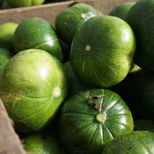 Zapallito Agroecológico de Josué xkg