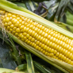 Choclo Agroecológico de Buenas Raíces x Unidad