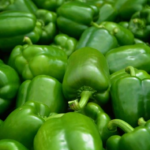 Morrón Verde Agroecológico de Oso xkg