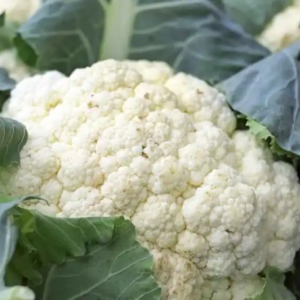 Coliflor Agroecológico de Oso x500-600gr