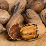 Nueces Pecan Agroecológicas con Cáscara de Finca La Resurrección