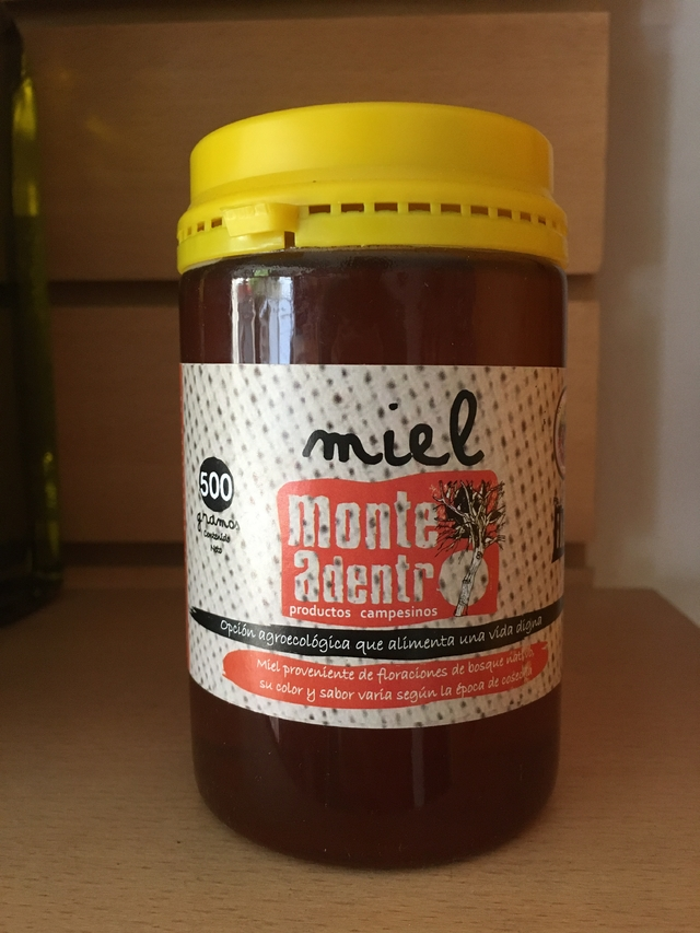 Miel agroecológica Monte Adentro xkg