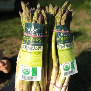 Esparragos orgánicos de Iceberg atado x450gr aprox.