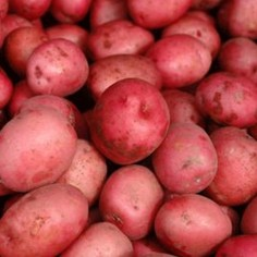 Papa Roja Orgánica de Los Serenos xkg