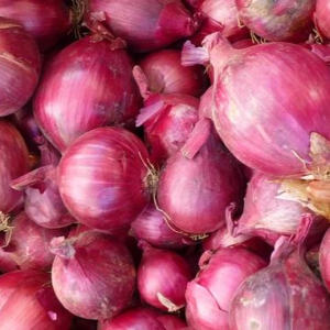 Cebolla Morada Orgánica de Puente Blanco (Mendoza) xkg