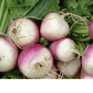 Nabito Agroecológico de Raquel xPaq.