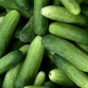 Pepino Agroecológico de Agroprimavera x600grs