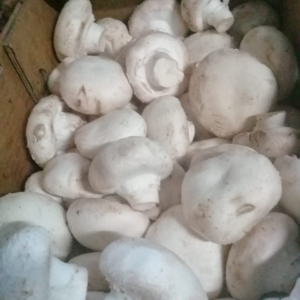 Hongos champiñon x200 gr