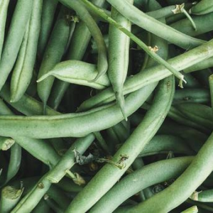 Chaucha Rolliza Agroecológica de UTT x1kg