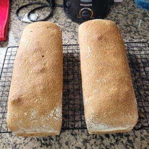 NUEVO - Pan Integral x Unidad