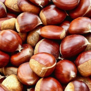 Castañas Agroecologicas de coop. Lejardinere x100grs.