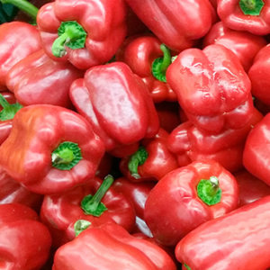 Morrón Rojo Agroecológico de UTT x1/2kg