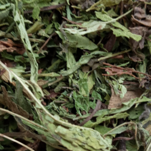 Hojas de Stevia Campos Robles