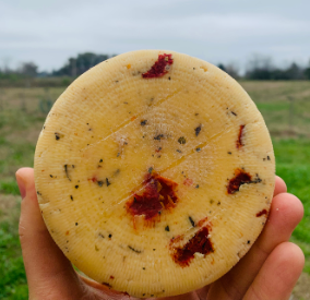 Queso Sardo Capresse Agroecológico de Tomás Jofre x500grs.