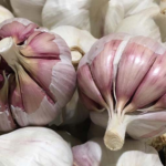 Ajo Orgánico de Puente Blanco (Mendoza) x250grs.