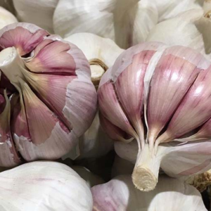 Ajo Orgánico de Puente Blanco (Mendoza) x250grs.