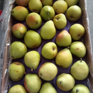 Pera Williams Orgánica Certificada de Flor Dorada xkg