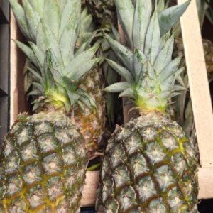 Ananá Agroecológica de UTT x Unidad 500-800grs. aprox.