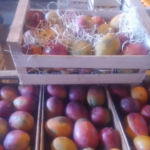 Mango Agroecológico de Ecotipa (Tucumán) x1kg