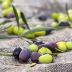 Aceitunas San Nicolás VERDES x250grs.