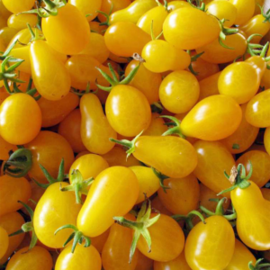 Tomate cherry amarillo agroecológico de Oso x500grs.