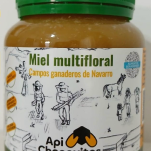 Miel Agroecologica Apichanguitas x1kg