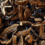 Hongos de Pino deshidratados x100grs.