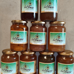 Mermelada de Ciruela Artesanal y Agroecológica La Treve x600grs.