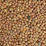 Lentejas sueltas Salve la tierra x250grs.