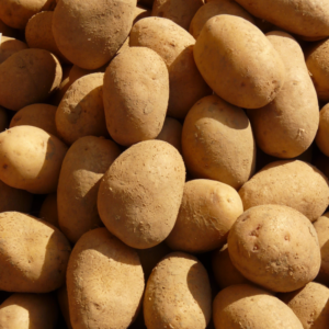 Papa Blanca Cepillada Agroecológica de La Cerrillense