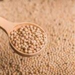 Poroto de Soja Salve la tierra  x1/4kg