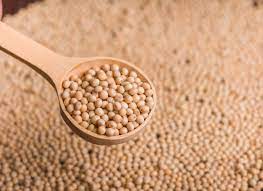 Poroto de Soja Salve la tierra  x1/4kg